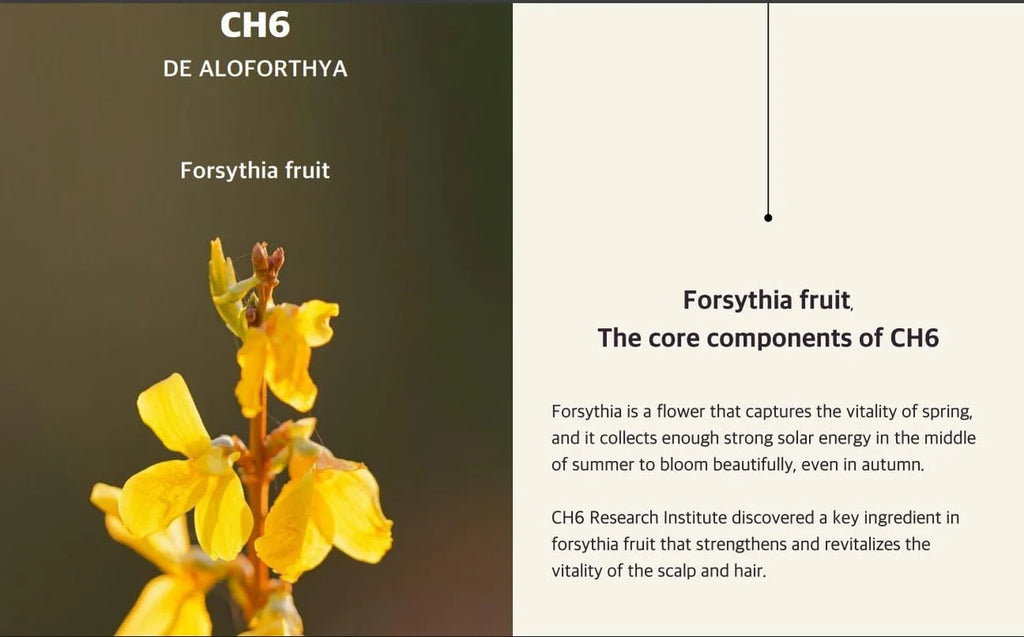 Kalwanji CH6 Shampoo For Hair Growth & Hair Fall